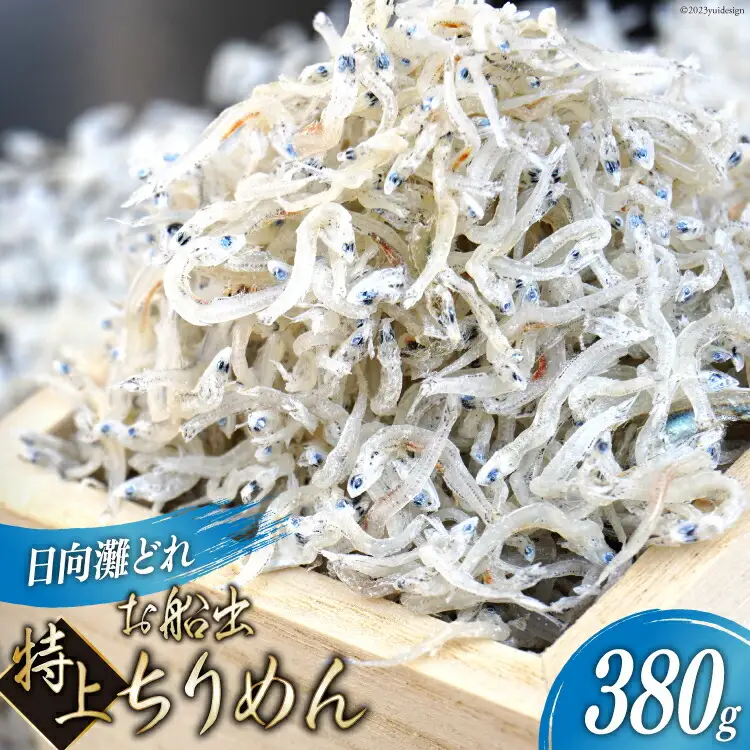 日向灘獲れお船出 特上ちりめん 380g（化粧箱入り）