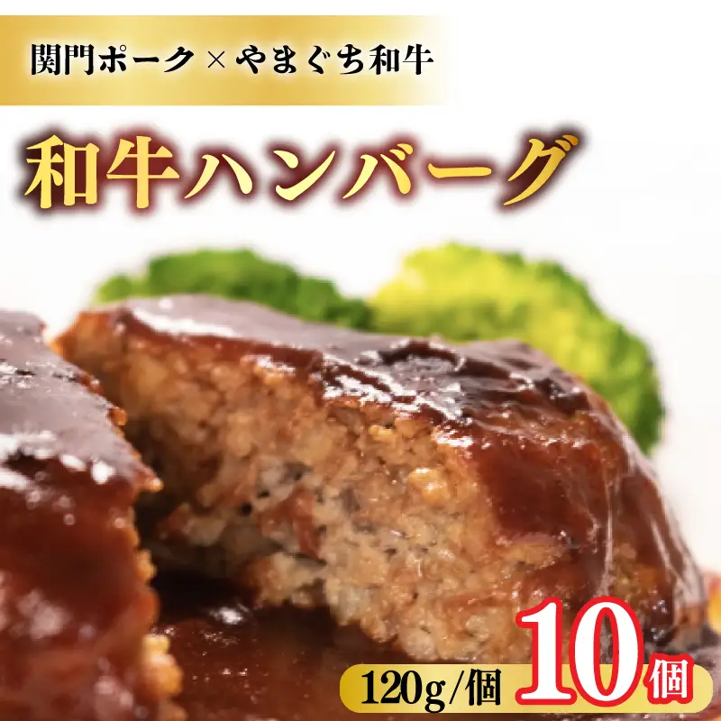 ハンバーグ [120g×10個]  和牛ハンバーグ BM