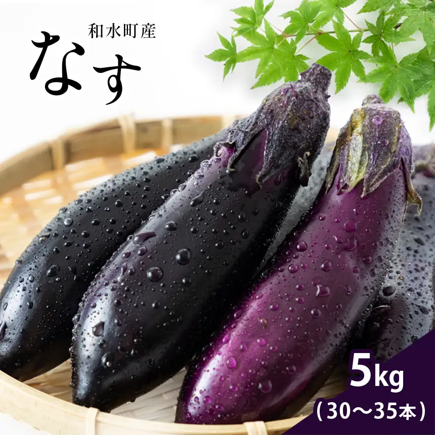 なす 5kg 和水町産 野菜 5月下旬～発送いたします 野菜
