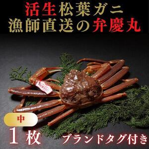 松葉ガニ活生「中1枚」ブランドタグ付き※着日指定不可※【弁慶丸】
