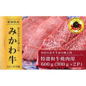【みかわ和牛】特選和牛焼肉用600ｇ