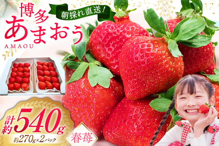 期間限定発送 博多あまおう 約270g×2