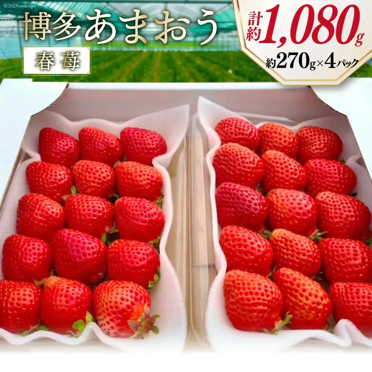 期間限定発送 博多あまおう 約270g×4