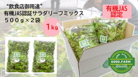 FV023_【飲食店御用達】有機JAS認証サラダリーフMix(500g×２袋　合計１ｋｇ）産地直送 新鮮野菜