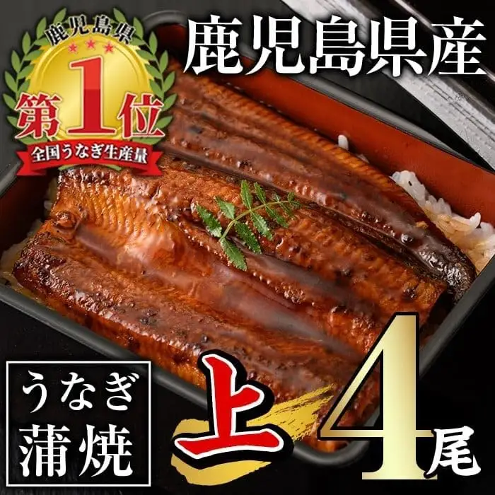 うなぎ 無投薬 鹿児島県産 ＜上＞ (計560g以上・ 140g以上×4尾) うなぎ 【西日本養鰻】B144-v01