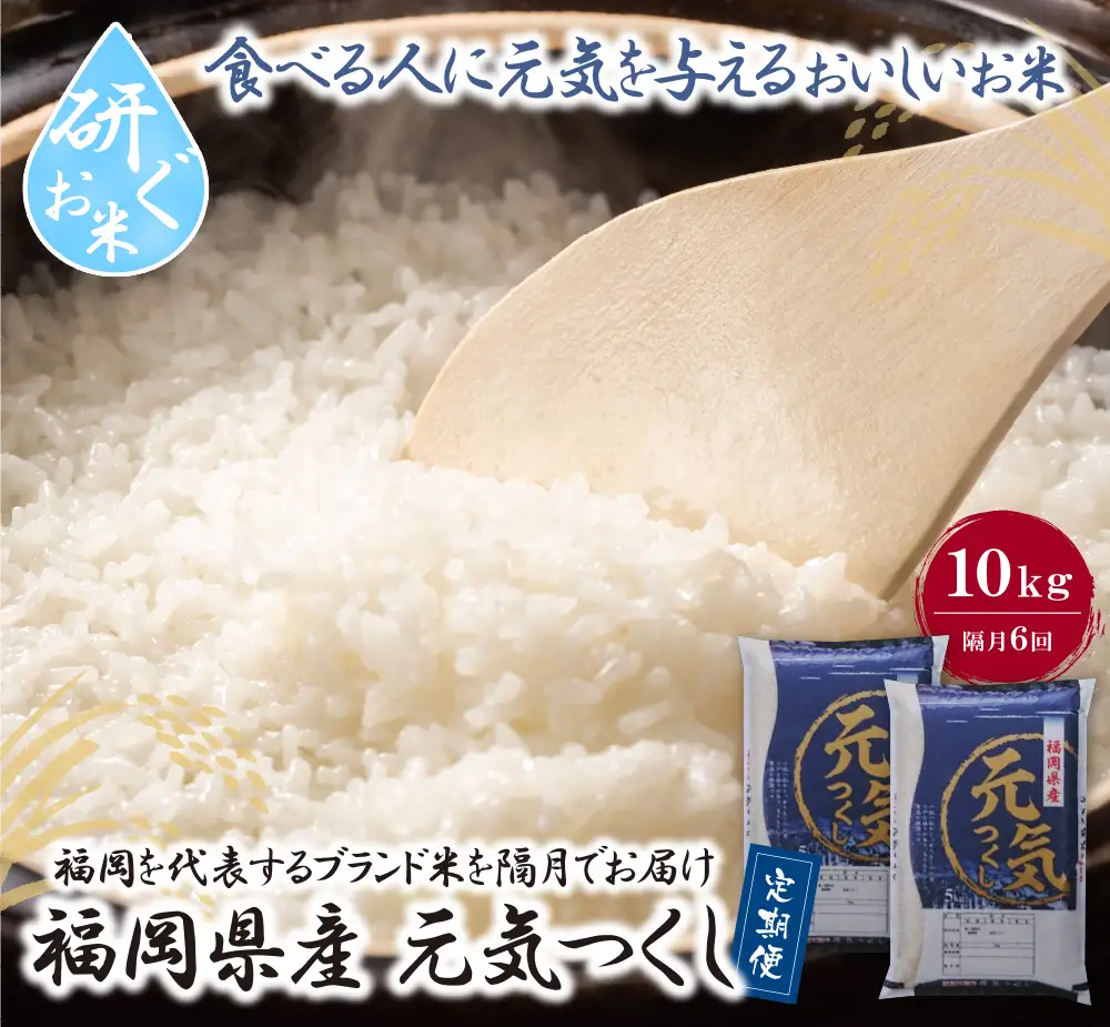 Z17-82 研ぐお米福岡県産・元気つくし10kg定期便(隔月・年6回)