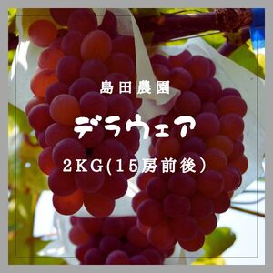 島田農園　デラウェア2kg【令和5年8月頃より発送！予約受付中】【A-96】