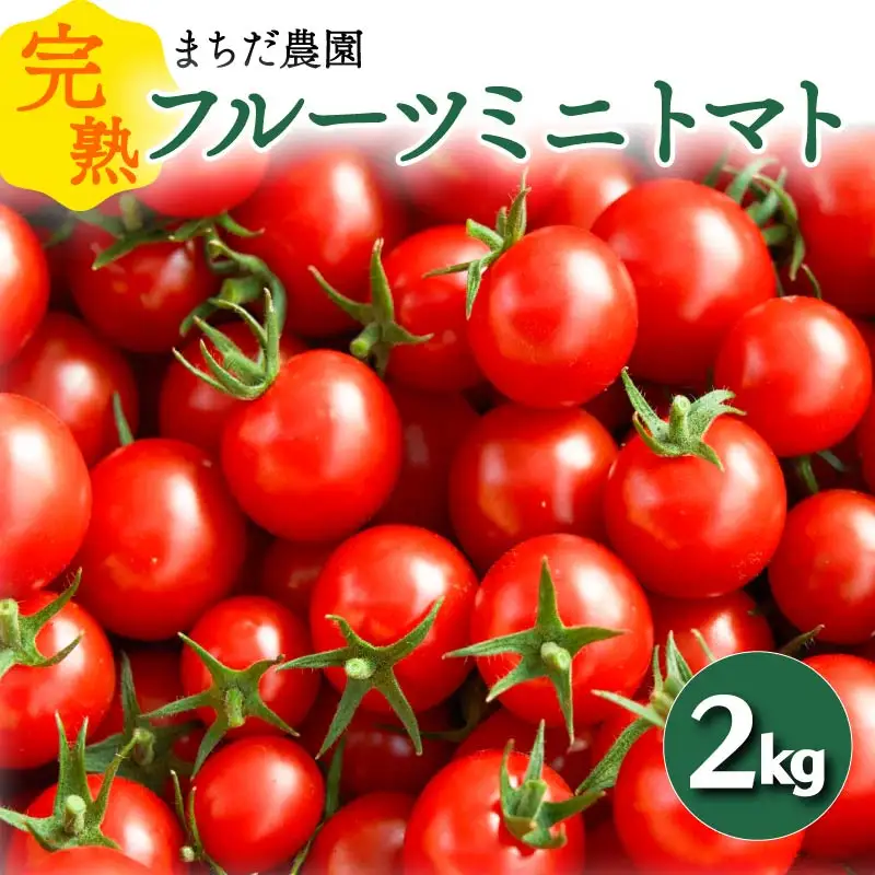 【2026年11月中旬～発送】 トマト フルーツミニトマト 2kg 高糖度 フルーツ ミニトマト