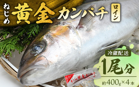 【配送日指定可能】 鹿児島 ねじめ黄金カンパチ ロイン 1尾（約400g×4本）冷蔵便 JF-502 | 魚 直送 養殖 根占 さかな 身が引き締まった かんぱち 漁師 刺身 寿司 しゃぶしゃぶ ぷりぷり食感 鹿児島県 南大隅町 漁業協同組合