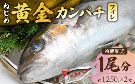 【配送日指定可能】 鹿児島 ねじめ黄金カンパチ フィレ 1尾（約1,250g×2枚）冷蔵便 JF-506| 魚 直送 養殖 根占 さかな 身が引き締まった かんぱち 漁師 刺身 寿司 しゃぶしゃぶ ぷりぷり食感 鹿児島県 南大隅町 ねじめ漁業協同組合