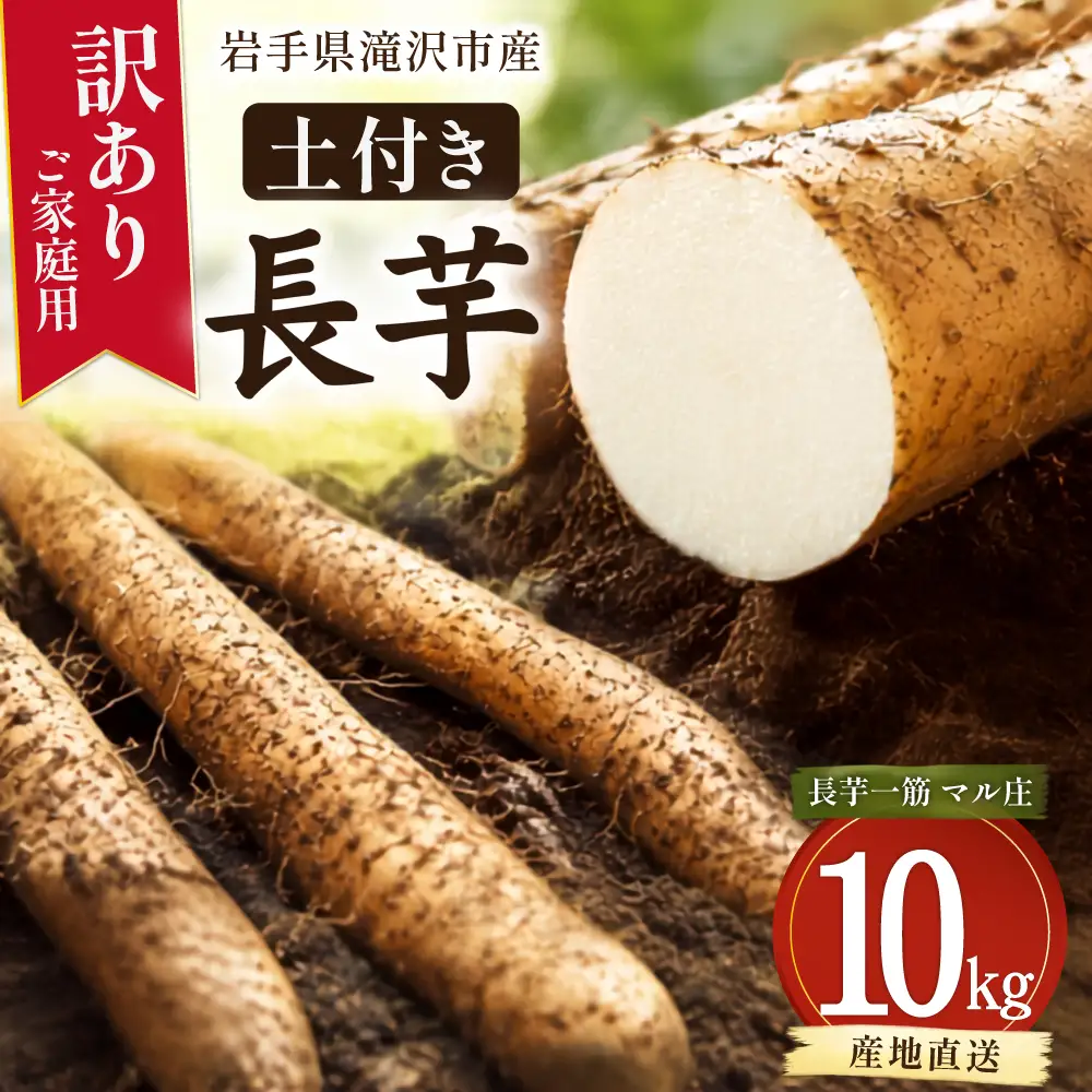 2026年12月上旬より発送！訳あり 土付き長芋（10kg）｜国産野菜 とろろご飯におすすめ！「マル庄」