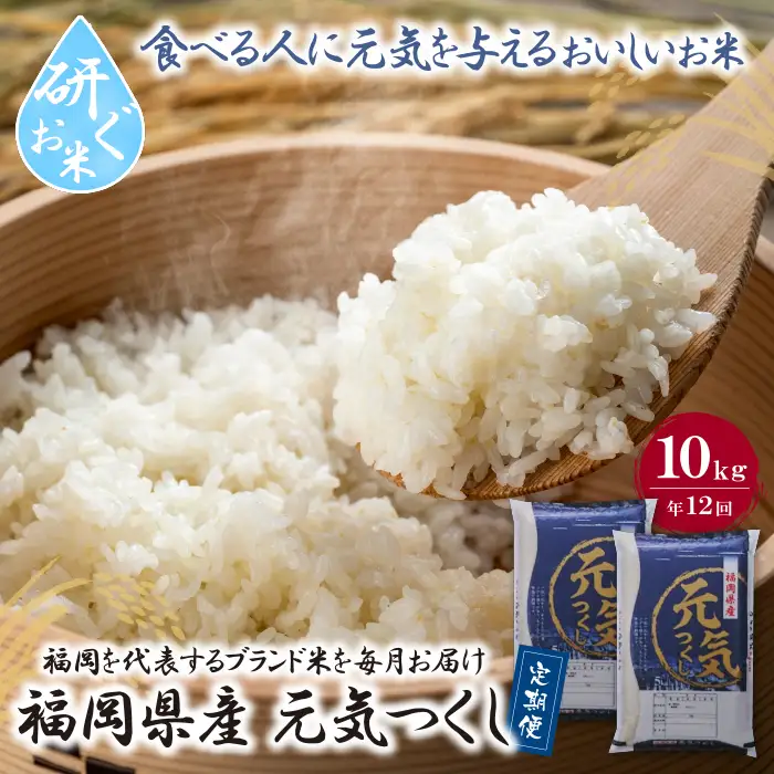 Z17-87 研ぐお米福岡県産・元気つくし10kg定期便(毎月・年12回)