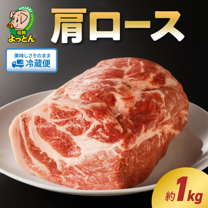 延岡よっとん 肩ロースブロック約1kg N003-YA967