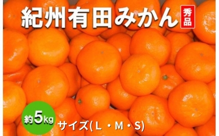 【先行予約】【秀品】有田みかん 約5kg（L・M・Sサイズ おまかせ）和歌山県産｜ みかん