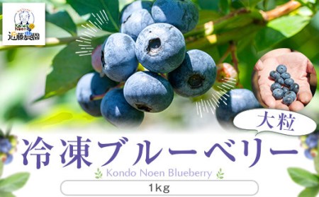 【数量限定】冷凍ブルーベリー 1000g（500g×2） (B-18) AS-7101