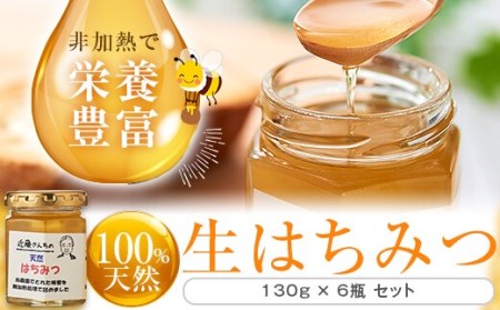 CS-008　【先行予約】天然はちみつ 780g（130g×6個）【6月以降順次発送】 (H-21)