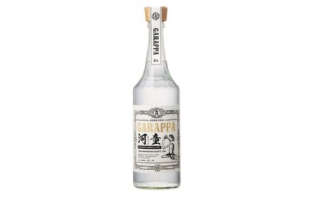 CS-007 GARAPPA #01 CRAFT GIN  720ml×2本 (ｸﾞﾗｽ付) ガラッパゼロワンクラフトジン 山元酒造