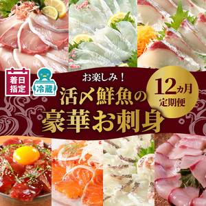 【お楽しみ 定期便】延岡産活〆鮮魚 豪華 お刺身 12ヶ月 定期便 鮮魚 延岡産 刺身 ヒラメ 真鯛 カンパチ 季節 魚 ブリ ハマチ 国産 昆布〆 おつまみ カルパッチョ 鮮魚 魚介類 食品 冷蔵 請関水産 グルメ お取り寄せ 宮崎県 延岡市 送料無料 N019-YYG0191