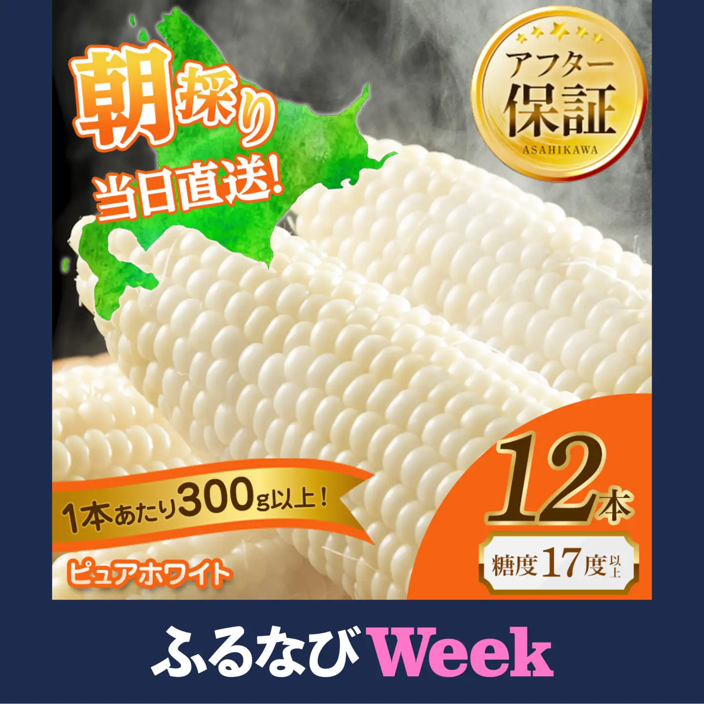【ふるなびWEEK対象】【先行予約】白いとうもろこしピュアホワイト 12本 3.6kg（2026年8月下旬から発送開始） とうもろこし