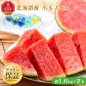 【先行予約】北海道産小玉スイカ1.6kg×2玉 (2026年7月中旬から発送開始) | スイカ _02063