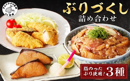 ぶりづくし詰合せ【B4-105】