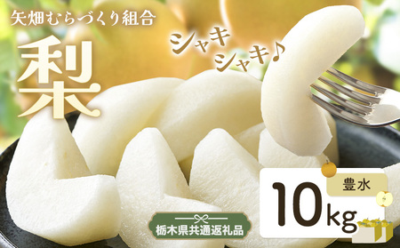 梨 豊水10kg【栃木県共通返礼品　栃木県産】【配送不可地域あり】(離島)