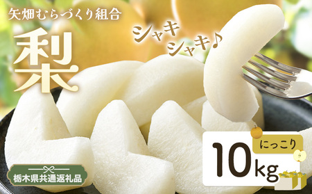 梨 にっこり梨 10kg 矢畑むらづくり組合【栃木県共通返礼品　栃木県産】【配送不可地域あり】(離島)