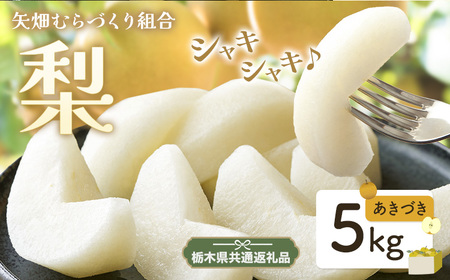 梨 あきづき 5kg 矢畑むらづくり組合 【栃木県共通返礼品　栃木県産】【配送不可地域あり】(離島)