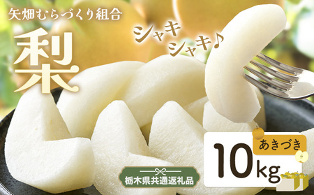 梨 あきづき 10kg 矢畑むらづくり組合 【栃木県共通返礼品　栃木県産】【配送不可地域あり】(離島)