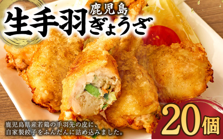 鹿児島生 手羽ぎょうざ (20本) 餃子のタレ付き 餃子 ギョーザ_ss0022_CR
