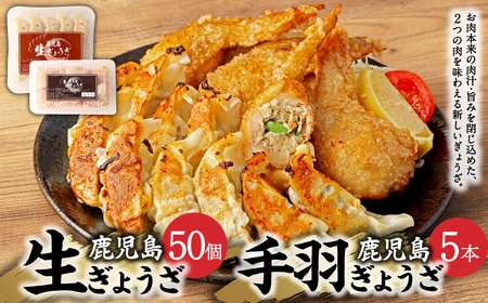 鹿児島 生ぎょうざ (50個)・手羽ぎょうざ (5本)セット_ss1013_CR