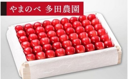 《2027年先行予約》【特選ダイアナブライト】桐箱詰 約1,100g【やまのべ多田耕太郎のさくらんぼ 多田農園】期間限定 数量限定 F4A-0006
