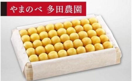 《2027年先行予約》【特選月山錦】桐箱詰 約1,100g【やまのべ多田耕太郎のさくらんぼ 多田農園】期間限定 数量限定 F4A-0007