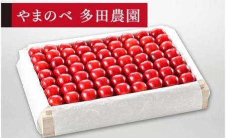《2027年先行予約》【特選「真夏のルビー紅姫」】桐箱詰 約1,100g【やまのべ多田耕太郎のさくらんぼ 多田農園】期間限定 数量限定 7月中旬より発送 F4A-0008