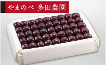 《2027年先行予約》【特選サミット】桐箱詰 約1,100g【やまのべ多田耕太郎のさくらんぼ 多田農園】期間限定 数量限定 F4A-0010