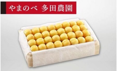 《2027年先行予約》【特選月山錦】桐箱詰 約700g【やまのべ多田耕太郎のさくらんぼ 多田農園】期間限定 数量限定 F4A-0012