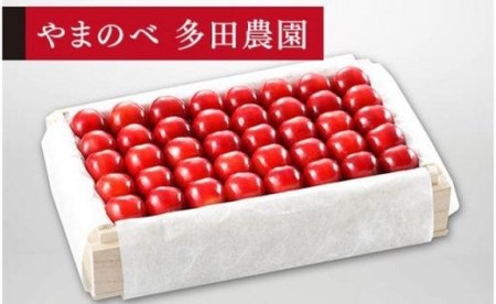 《2027年先行予約》【特選紅秀峰】桐箱詰 約700g【やまのべ多田耕太郎のさくらんぼ 多田農園】期間限定 数量限定 F4A-0014