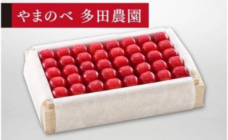 《2027年先行予約》【特選佐藤錦】桐箱詰 約700g【やまのべ多田耕太郎のさくらんぼ 多田農園】期間限定 数量限定 F4A-0018