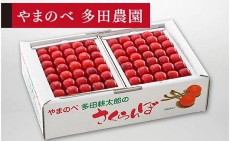 《2027年先行予約》【佐藤錦】手詰 約500g×2【やまのべ多田耕太郎のさくらんぼ 多田農園】期間限定 数量限定 F4A-0019