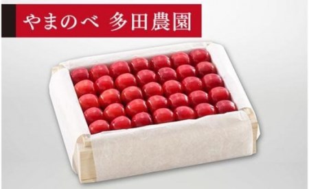 《2027年先行予約》【特選佐藤錦】桐箱詰 約500g【やまのべ多田耕太郎のさくらんぼ 多田農園】期間限定 数量限定 F4A-0023