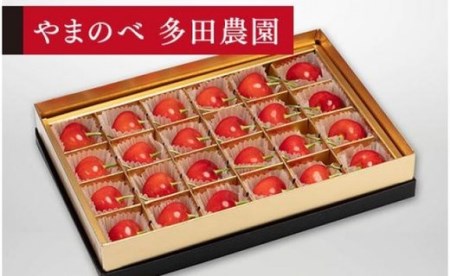 《2027年先行予約》【珠玉の紅秀峰】みやび箱 24粒【やまのべ多田耕太郎のさくらんぼ 多田農園】期間限定 数量限定 F4A-0035