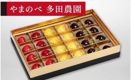《2027年先行予約》【珠玉の月山錦・紅秀峰・サミット】みやび箱 24粒【やまのべ多田耕太郎のさくらんぼ 多田農園】期間限定 数量限定 F4A-0041
