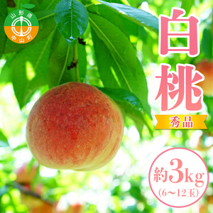 《2026年先行予約》山形県中山町産白桃 約3kg(6玉～12玉) 期間限定 数量限定 山形県産 フルーツ くだもの 果物 もも モモ F4A-0107