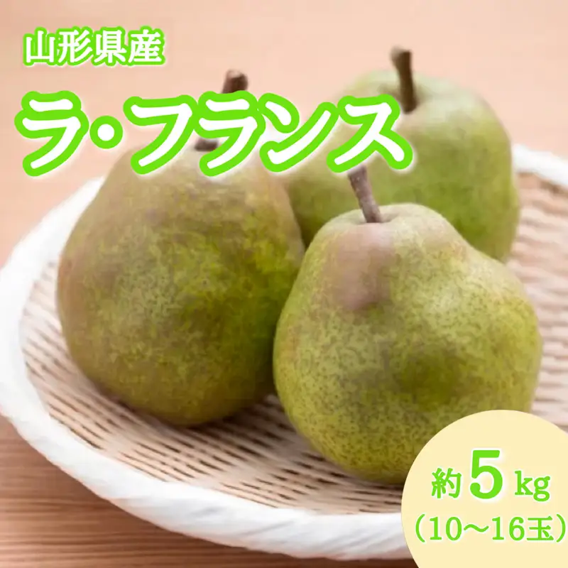 山形産 ラ・フランス 秀品 約5kg(10～16玉)【令和8年産先行予約】FS25-795