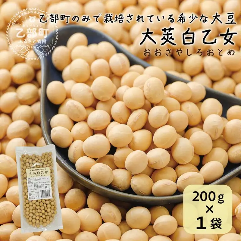 使い方色々！豆乳にもぴったり！【大莢白乙女大豆 1袋】＜ 豆乳 大粒 甘い 乙部町地大豆 北海道 北海道産 道産 国産 国産大豆 乙部町 地大豆 特産品 大豆 甘い 大粒 コク  イソフラボン 栄養 腸活 髪 肌  常温 送料無料 ＞