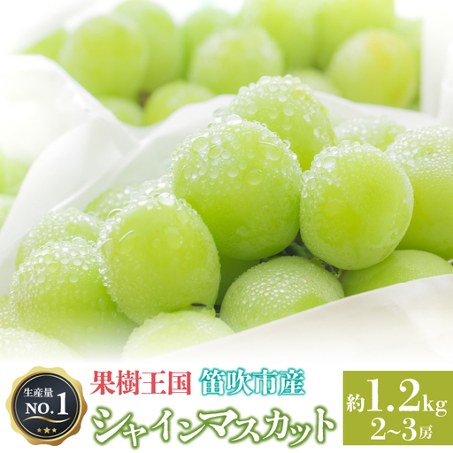 ＜26年発送＞人気 シャインマスカット 約1.2kg 2～3房　※沖縄県及び離島への配送はできませんので予めご了承ください。　※常温配送　126-002-26y