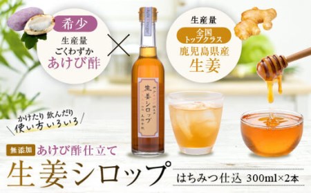 AS-413 薩摩川内生姜シロップ（はちみつ）稀少あけび酢使用 2本セット