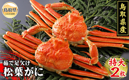 鳥取県産　浜茹で松葉がに　特大2枚（訳あり）【期間限定】_T2600094