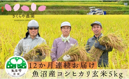 さくらや農園 魚沼産コシヒカリ 玄米5kg 12ヶ月連続お届け お米 ご飯 綺麗な水 美味しい 黒酢 健康 ふっくら もっちり 甘み リピート 
