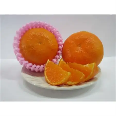 【2027年2月下旬より発送】あすみ  約5kg(ダンボール箱入り)_果物・フルーツ  柑橘 _【1402180】